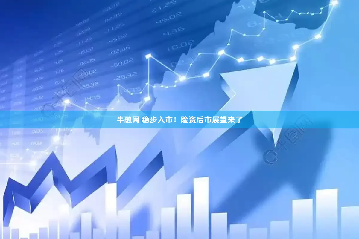 牛融网 稳步入市！险资后市展望来了