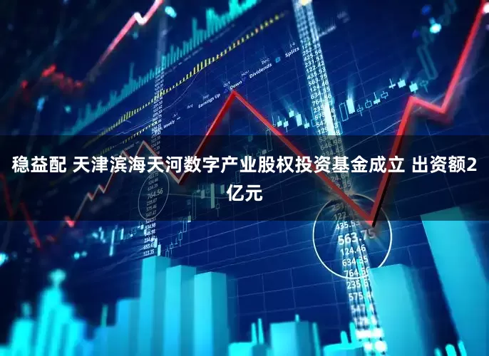稳益配 天津滨海天河数字产业股权投资基金成立 出资额2亿元