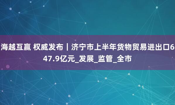 海越互赢 权威发布｜济宁市上半年货物贸易进出口647.9亿元_发展_监管_全市