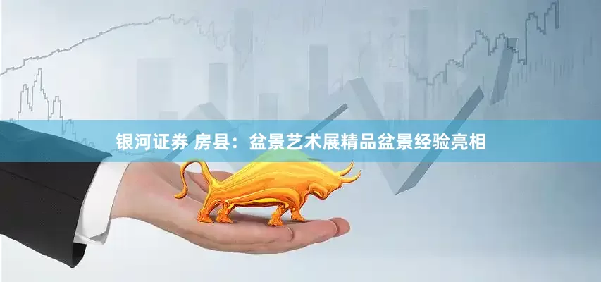 银河证券 房县：盆景艺术展精品盆景经验亮相