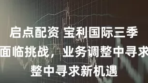 启点配资 宝利国际三季度业绩面临挑战，业务调整中寻求新机遇
