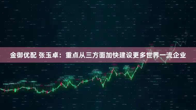 金御优配 张玉卓：重点从三方面加快建设更多世界一流企业