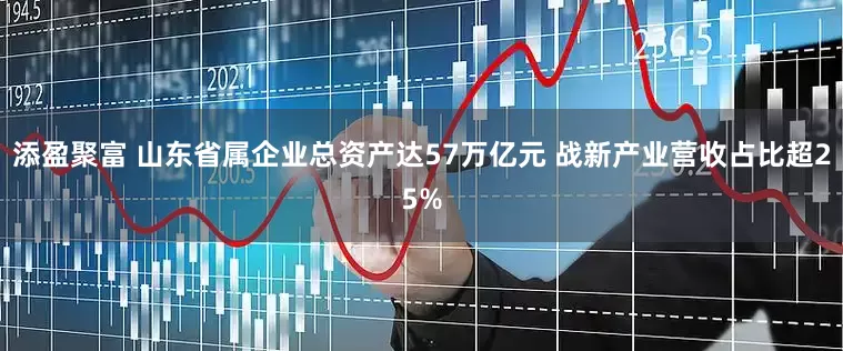 添盈聚富 山东省属企业总资产达57万亿元 战新产业营收占比超25%