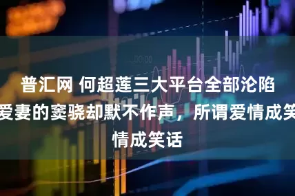 普汇网 何超莲三大平台全部沦陷，爱妻的窦骁却默不作声，所谓爱情成笑话